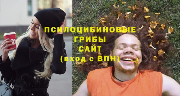 кокаин премиум Богородицк