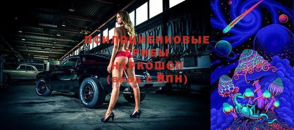 apvp Богданович