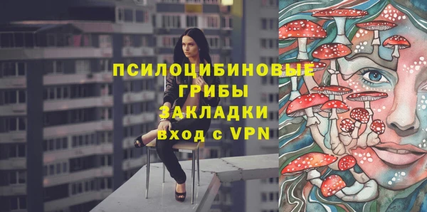 apvp Богданович