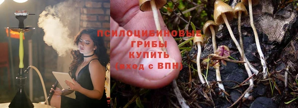 прущая мука Белокуриха