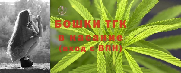 apvp Богданович